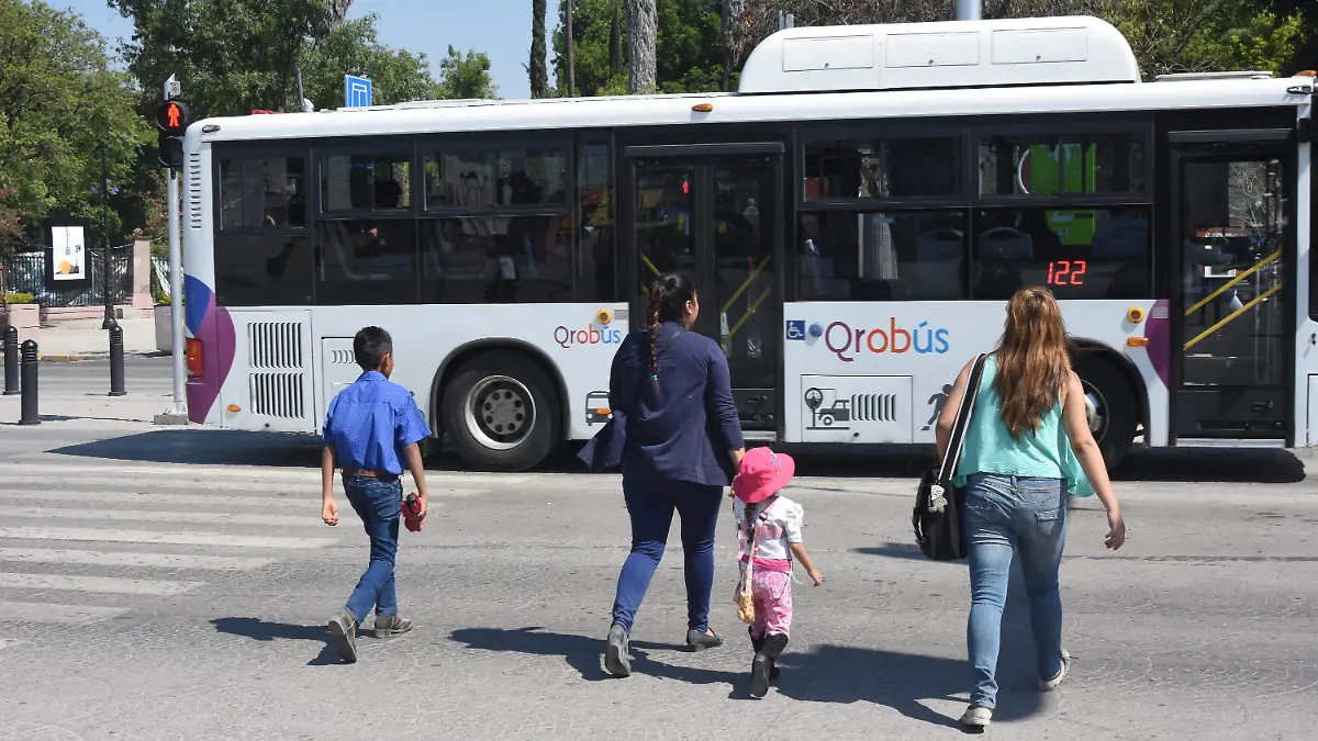 EL TRANSPORTE PÚBLICO